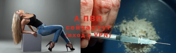 a pvp Бородино