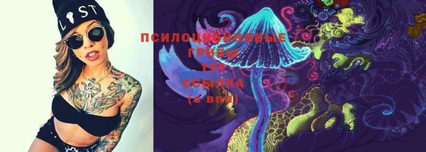 твердый Верхний Тагил