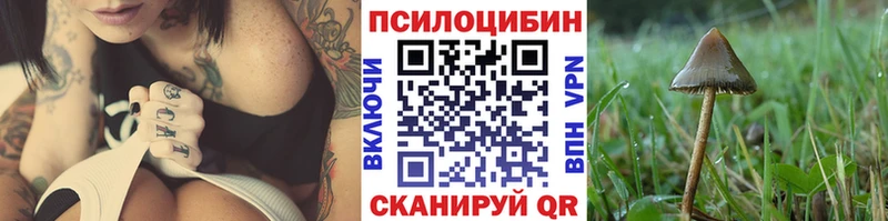 Псилоцибиновые грибы ЛСД  ОМГ ОМГ ССЫЛКА  Горно-Алтайск 